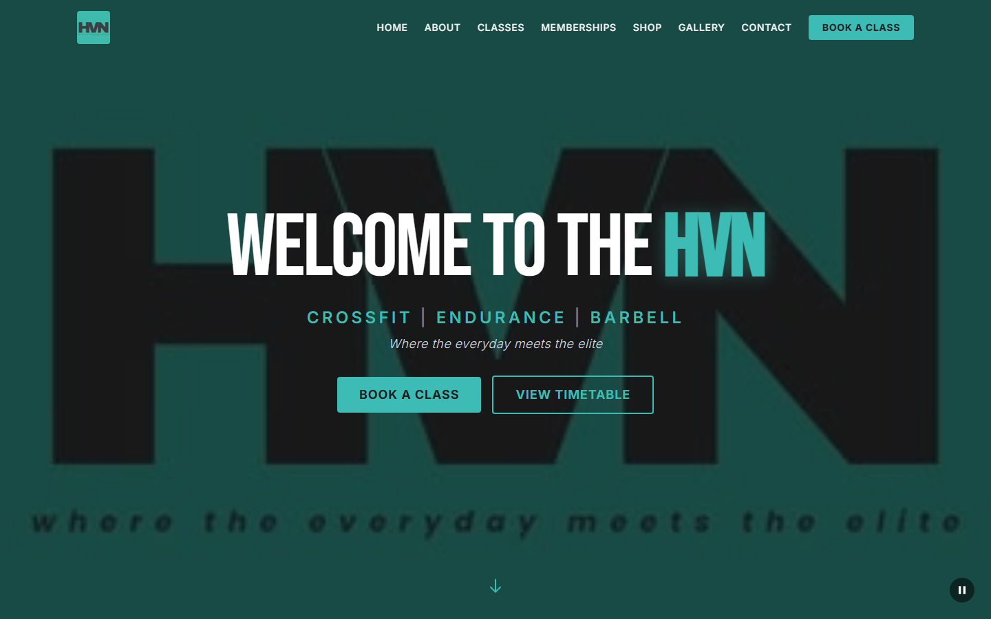 Home — cinematic video hero