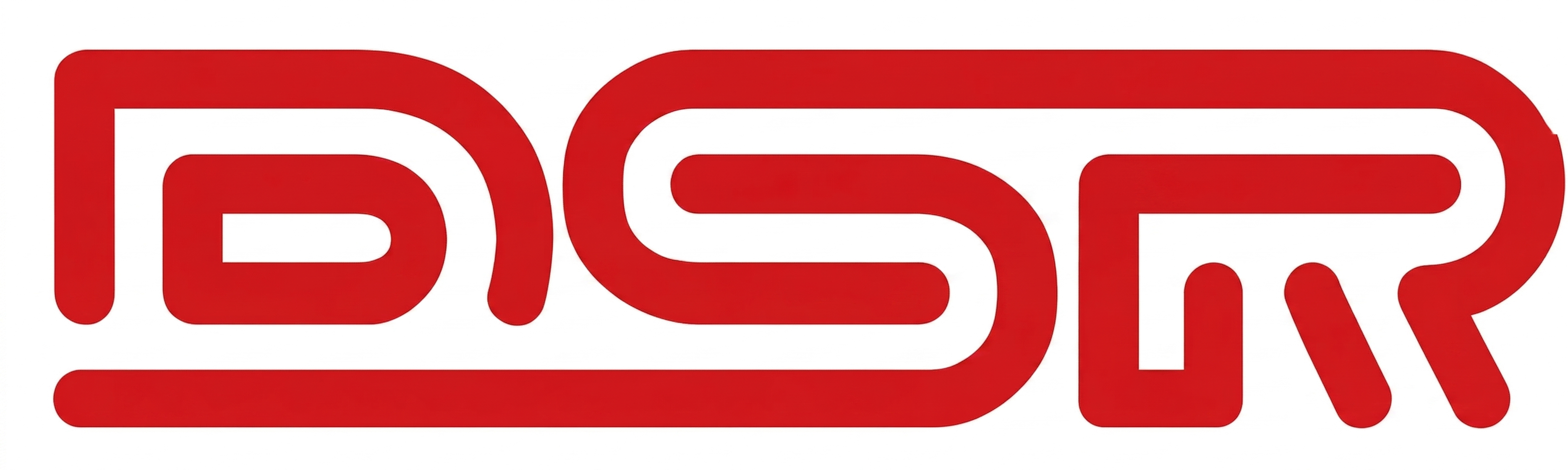 DS Racing Karts logo